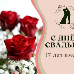 Розовая свадьба 17 лет
