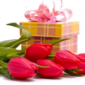 Тюльпаны подарок