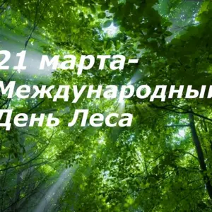 21 Марта Международный день лесов