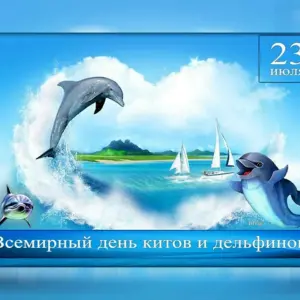 23 Июля - Всемирный день китов и дельфинов с 1986 г.