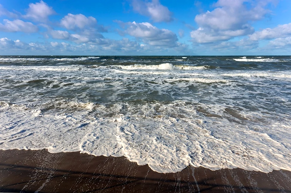 Волны на Балтийском море. Балтийское море соленое. Фон Балтийское море. Балтийское море волна песок.