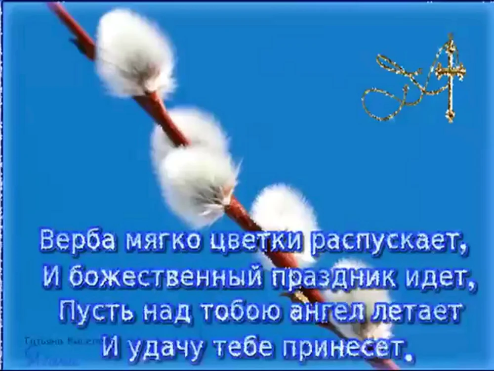 Доброе утро вербное воскресенье открытки с пожеланиями. С Вербным воскресеньем открытки. С вкрьеым воскресенье. Поздравление с Вербным воскресеньем. С Вербным воскресеньем открытки красивые.