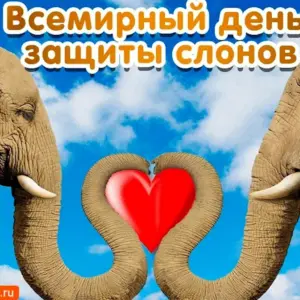 Всемирный день защиты слонов 22 сентября