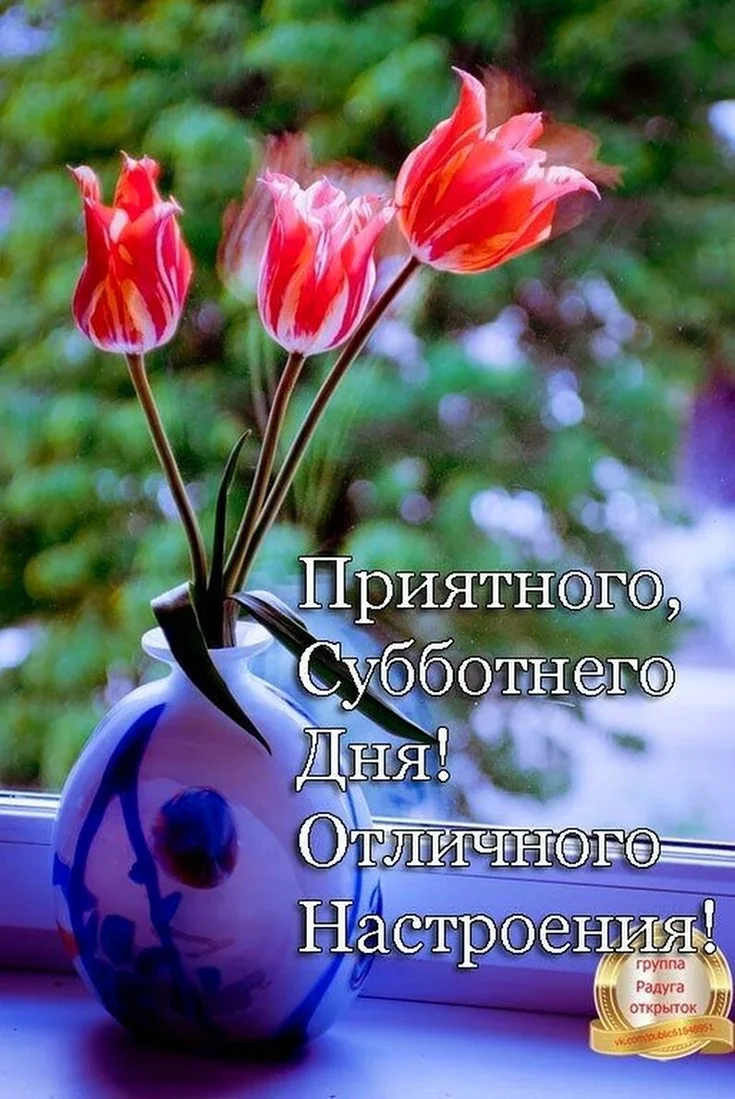 Доброе весеннее утро субботы хорошего настроения. Доброго благословенного дня. Доброе Весеннее утро цитаты. Хорошего настроения и удачного дня цветы. Отличного настроения.