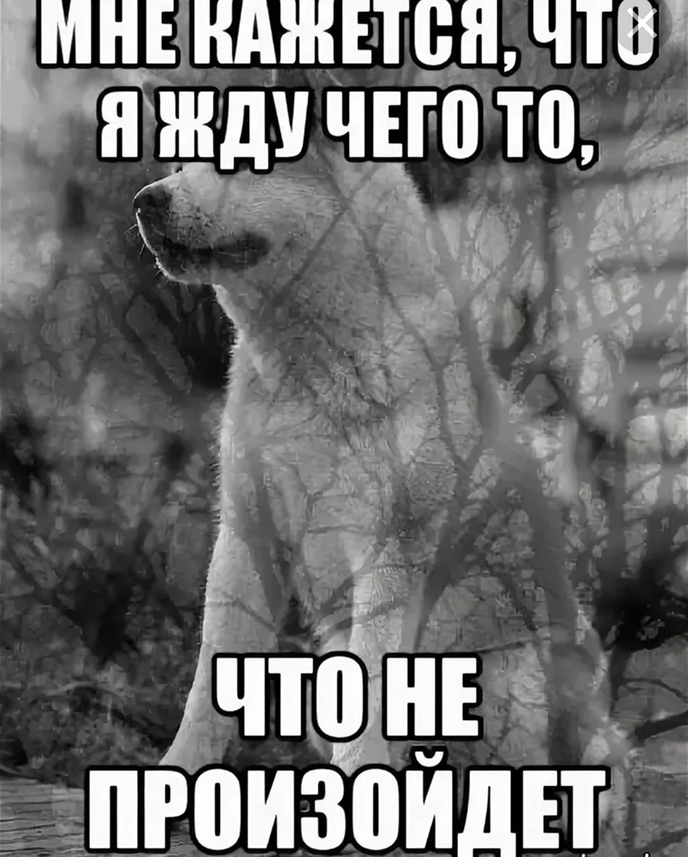 Не сказал что подождет. Долго ждать. Мем когда ждешь. Чего ждем картинки. Жду ответа картинки.