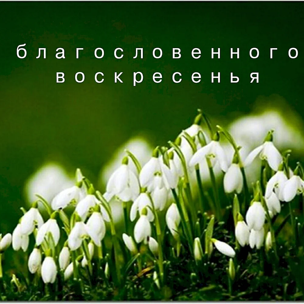 Чудесного весеннего воскресенья картинки. Хорошего весеннего воскресенья. Открытки православные с добрым утром весенние.