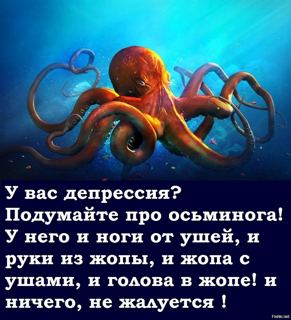 Осьминог мем. Шутка про осьминога. Прикольный осьминог. Осьминог прикол. Если грустно вспомни осьминога.