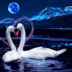 Спокойной ночи лебеди