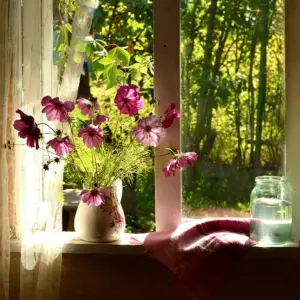 Цветы на окне