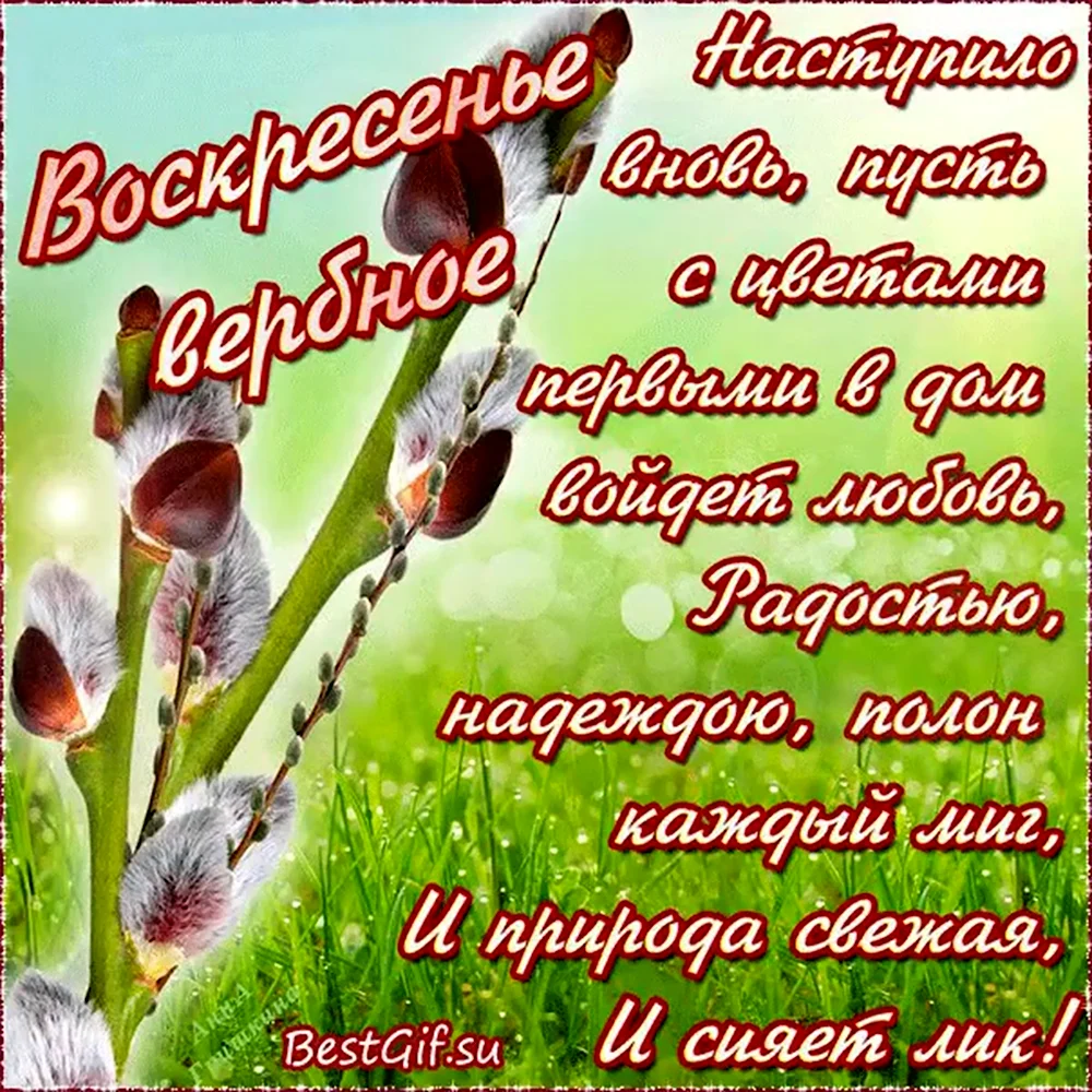 Поздравление с Вербным воскресеньем. Поздравления с верным Воскре. Поздравления с верным воскресенье. С Вербным воскресеньем открытки.